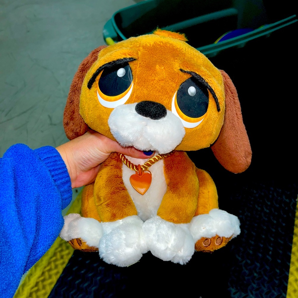 RESCUE PET DOG